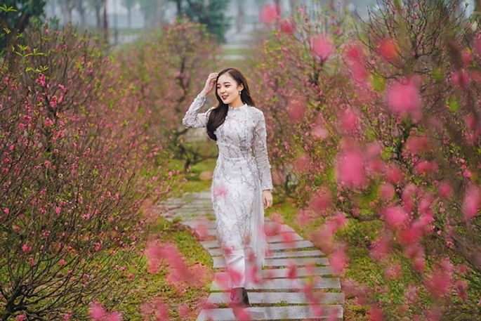 Hà Nội lần đầu tổ chức Lễ hội hoa đào, quất cảnh Xuân Giáp Thìn 2024