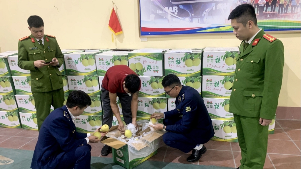 Ngăn chặn hơn 1 tấn lê nhập lậu "tuồn" vào Việt Nam