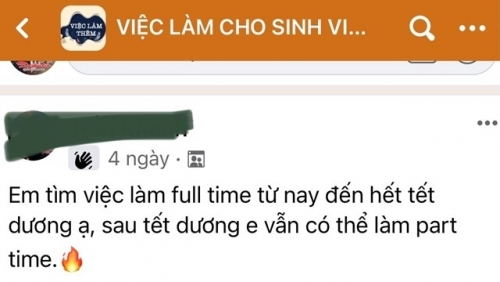 Tránh bẫy việc thời vụ dịp Tết