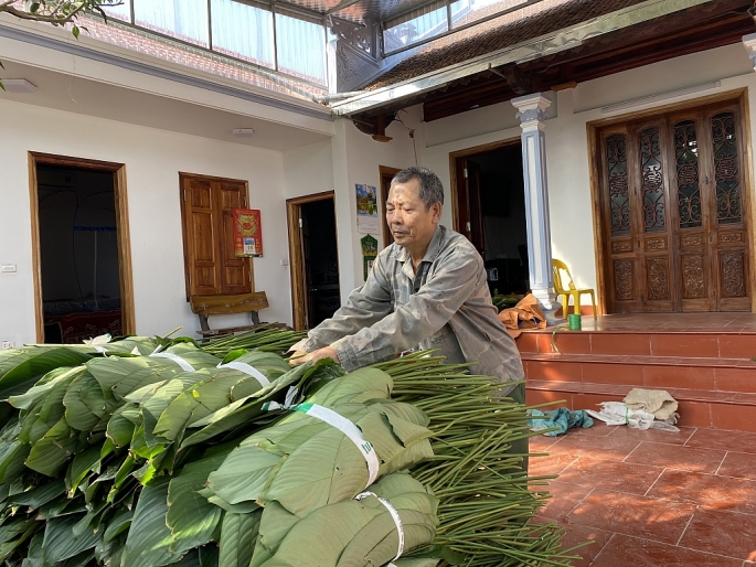 Người dân làng Tràng Cát tất bật cắt lá dong phục vụ thị trường Tết