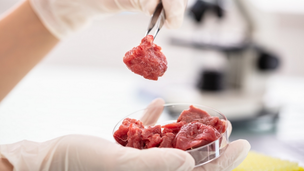 Israel cấp phép bán thịt bò nuôi cấy từ phòng thí nghiệm