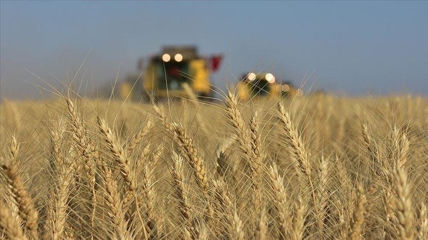 EU gia hạn miễn thuế nhập khẩu nông sản Ukraine