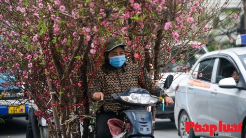 Dự báo thời tiết ngày 8/2/2024: Hà Nội mưa và rét đậm, nhiệt độ thấp nhất 12 độ C