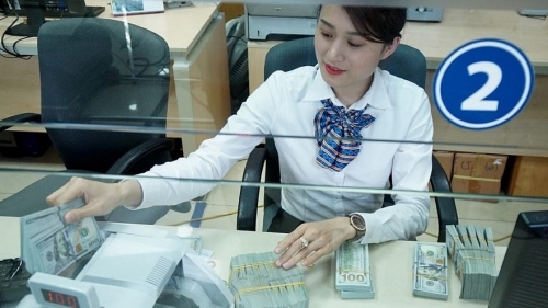 Tỷ giá USD hôm nay 17/2/2024: Đồng USD trong nước tăng mạnh