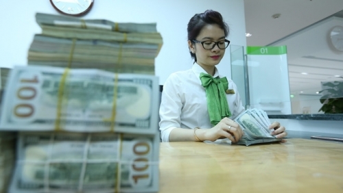 Tỷ giá USD hôm nay 18/2/2024: đồng USD đồng loạt tăng giá