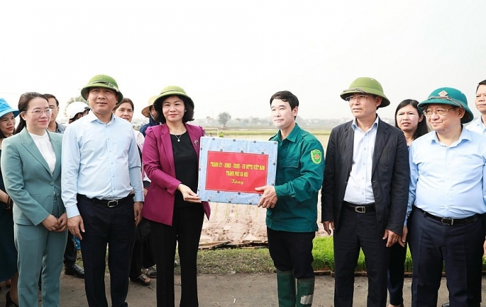 Lãnh đạo Thành phố Hà Nội thăm, động viên người dân ra quân sản xuất