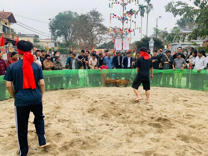 Trò chơi bịt mắt bắt lợn tại Lễ hội chùa Bối Khê (thôn Song Khê, xã Tam Hưng, Thanh Oai). Ảnh: Văn Biên