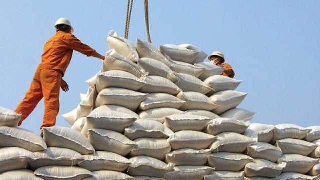 Thủ tướng chỉ thị đẩy mạnh sản xuất, kinh doanh, xuất khẩu lúa, gạo bền vững