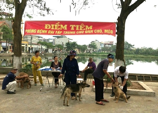 Tiêm phòng dại cho chó mèo tại Thanh Trì