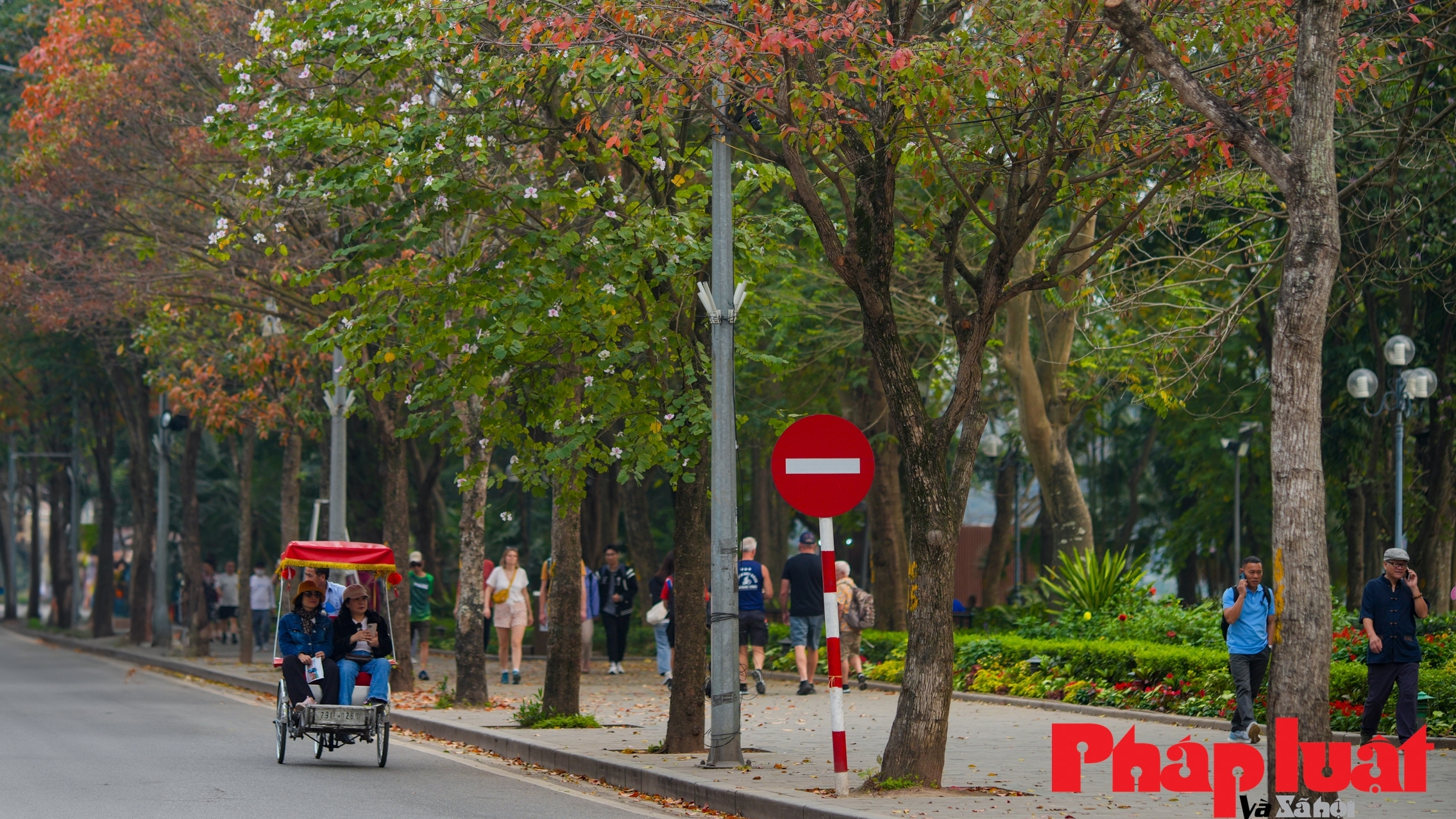 Hà Nội đẹp mơ màng trong khúc giao mùa