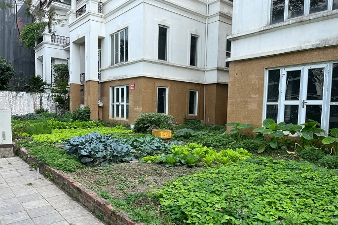 Một vườn rau được tận dụng tại mặt tiền căn biệt thự Khu đô thị Lideco