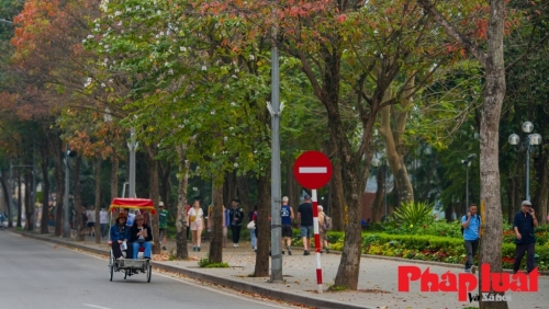 Dự báo thời tiết ngày 23/3/2024: Hà Nội đêm và sáng có mưa, sương mù rải rác, nhiệt độ cao nhất 27 độ