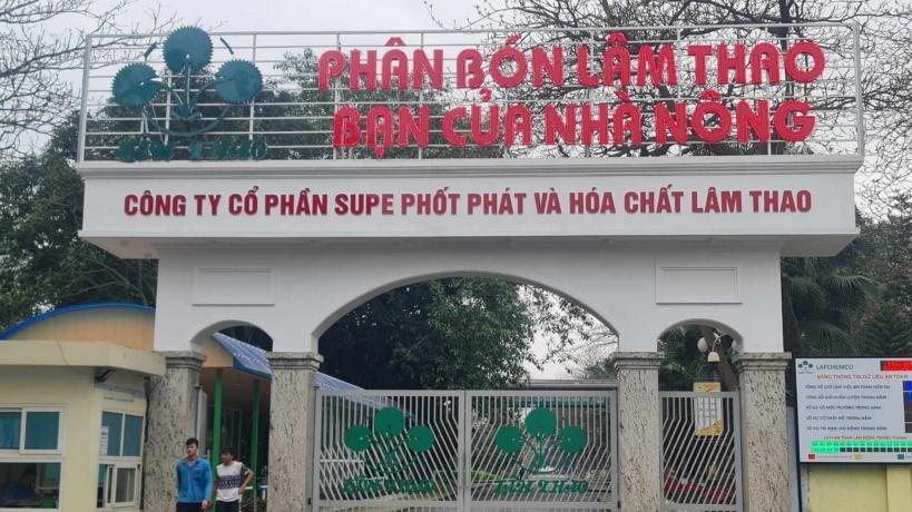 Supe Lâm Thao chủ động dừng tổ chức đấu giá tài sản thanh lý