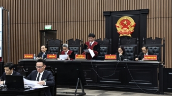 Sai phạm tại Công ty Tân Hoàng Minh: 7 bị cáo được hưởng án treo