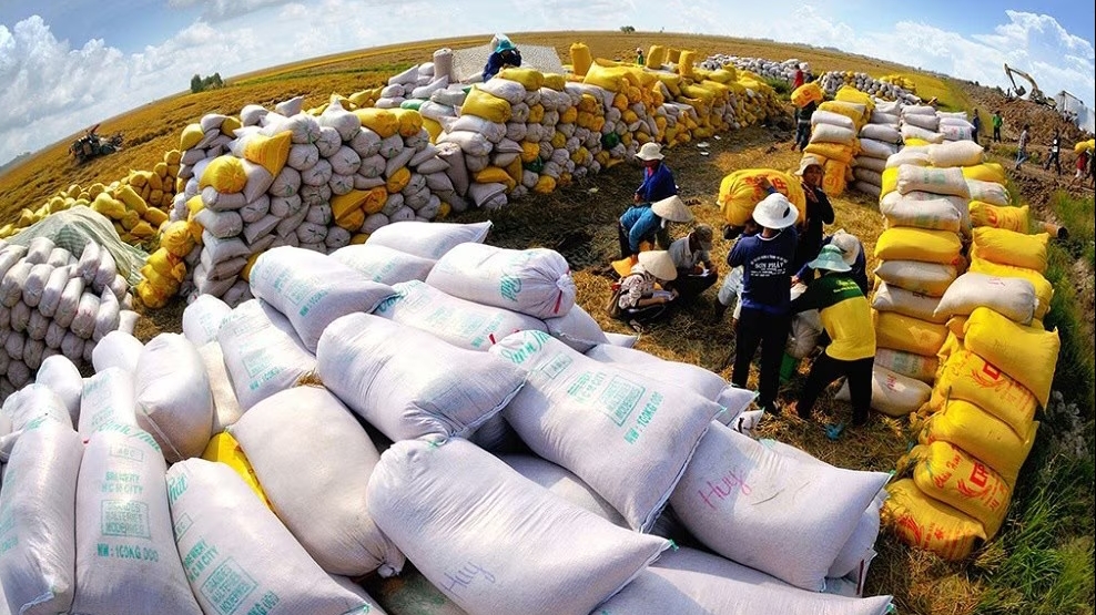 Giá gạo tăng cao tạo ra áp lực lạm phát ở châu Á