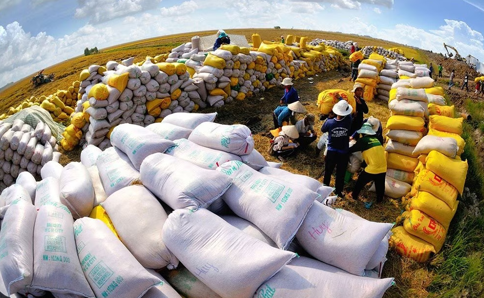 Giá gạo tăng cao tạo ra áp lực lạm phát ở châu Á