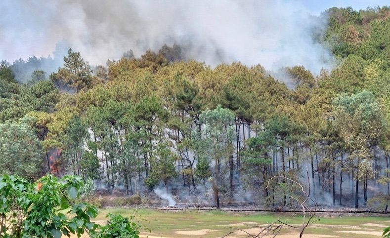 Một vụ cháy rừng xảy ra trên địa bàn huyện Sóc Sơn từ đầu năm 2023. Ảnh: Bình Minh