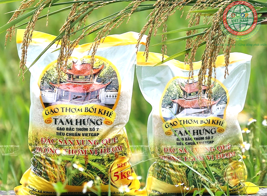 Thông qua chợ thương mại điện tử, nhiều người tiêu dùng biết đến sản phẩm gạo thơm Bối Khê của xã Tam Hưng. (Ảnh chụp tại gian trưng bày sản phẩm của Liên hiệp hợp tác xã OCOP Việt Nam 	Ảnh: Liên hiệp HTX OCOP Việt Nam)