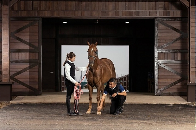 Học viện cưỡi ngựa Hoàng Gia có cơ sở vật chất cao cấp và đội ngũ nhân sự chuyên nghiệp