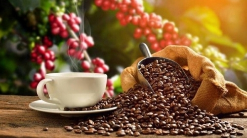 Uống cà phê thế nào để không hại gan?