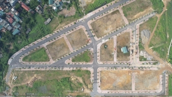 Nhiều lô đất ở ngoại thành Hà Nội sẽ được đấu giá trong tháng 5/2024