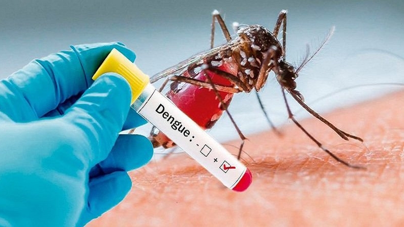Các bệnh do muỗi truyền tác động tới hơn một nửa dân số thế giới