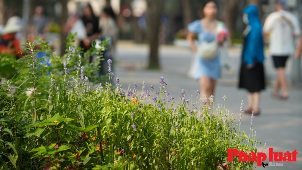 Dự báo thời tiết ngày 15/5: Hà Nội ngày nắng, chiều tối có mưa dông, có nơi mưa rất to