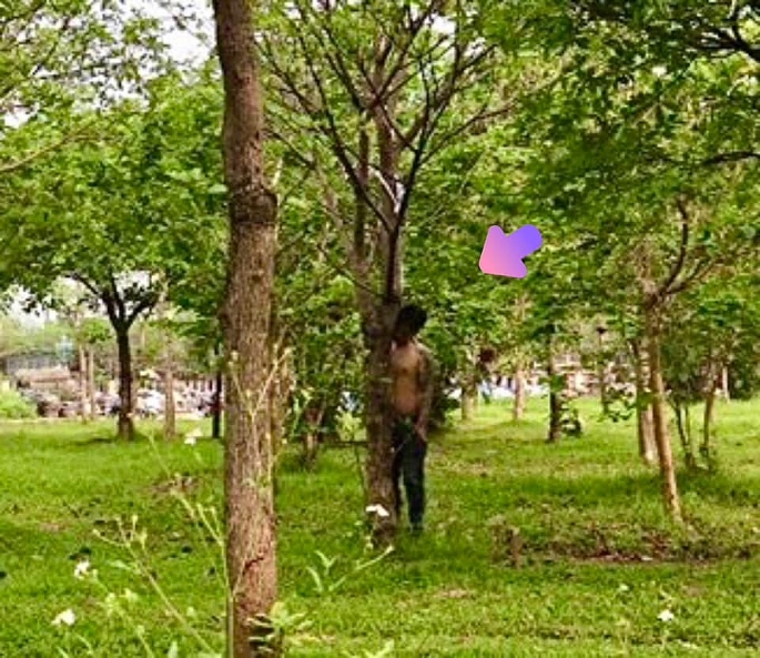 Điều tra vụ người đàn ông tử vong trong tư thế treo cổ ở vườn hoa gầm cầu Nhật Tân