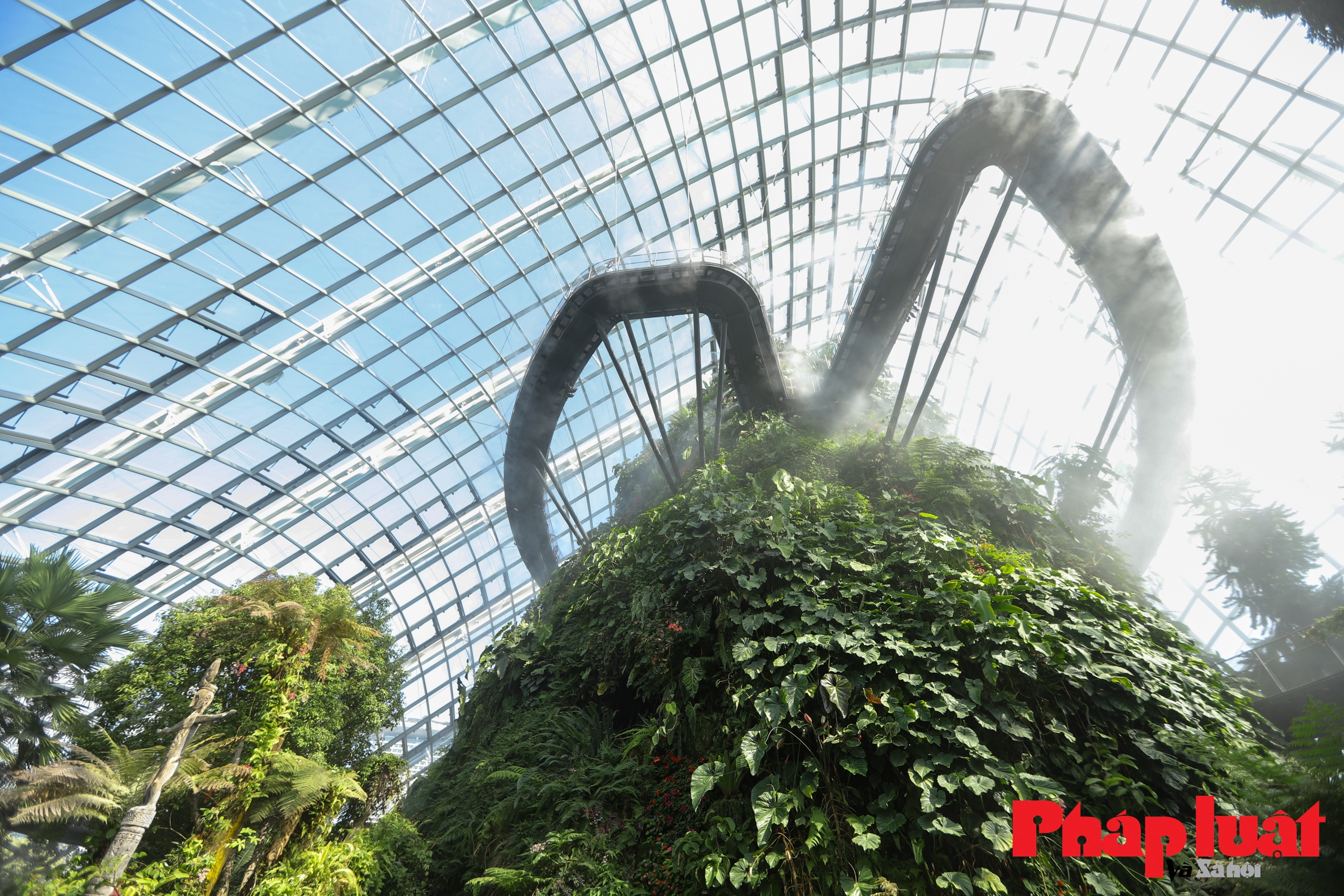 Bí ẩn bên trong vườn cây năng lượng của Singapore
