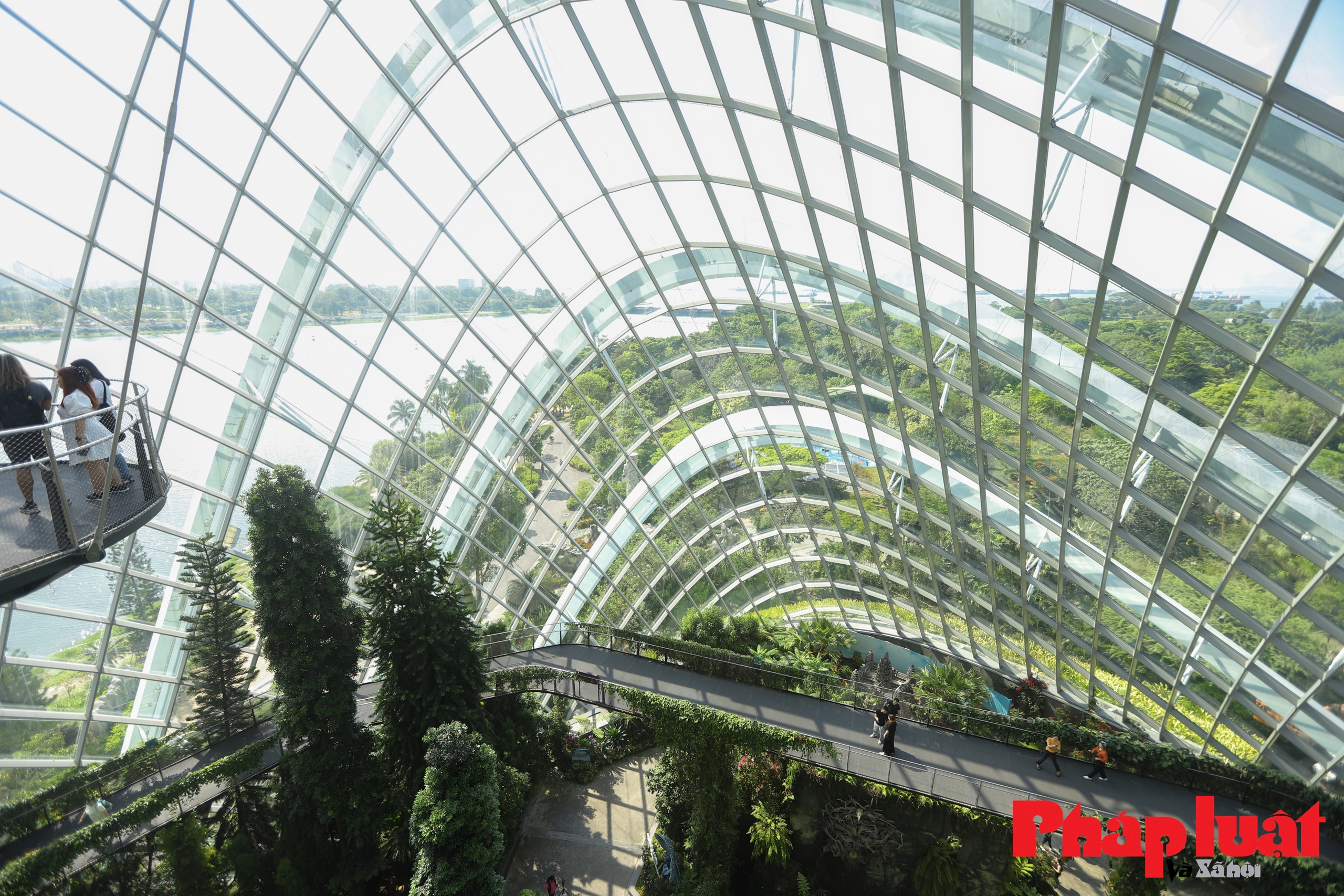 Bí ẩn bên trong vườn cây năng lượng của Singapore