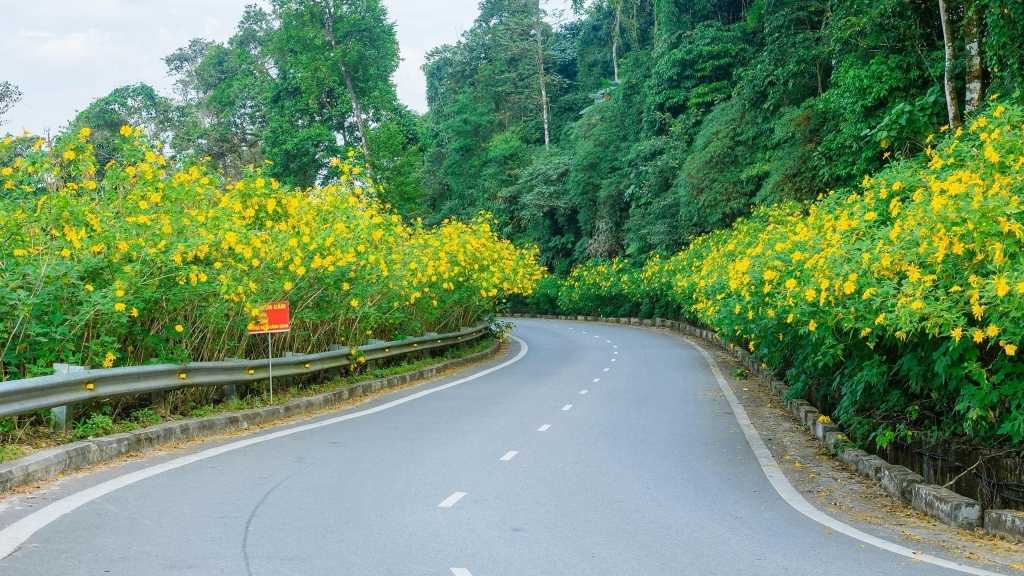 Hà Nội: cải tạo, nâng cấp đường lên Vườn quốc gia Ba Vì
