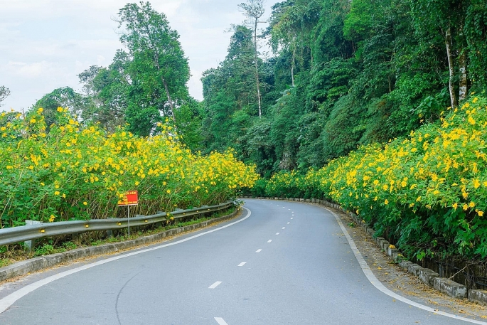 Hà Nội: cải tạo, nâng cấp đường lên Vườn quốc gia Ba Vì 