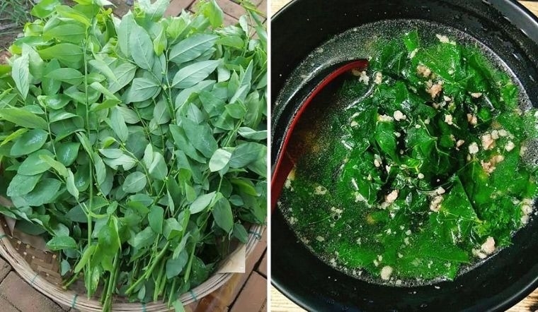 Những ai nên hạn chế ăn rau ngót?