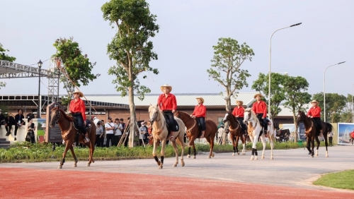 Hải Phòng: ra mắt học viện cưỡi ngựa đầu tiên tại Việt Nam