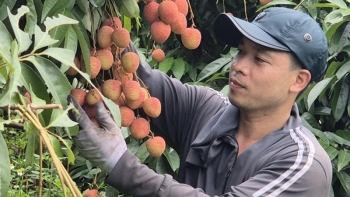 Định vị thương hiệu để nông sản Việt đạt giá trị xuất khẩu cao trên thị trường