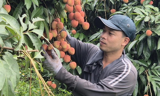 Định vị thương hiệu để nông sản Việt đạt giá trị xuất khẩu cao trên thị trường