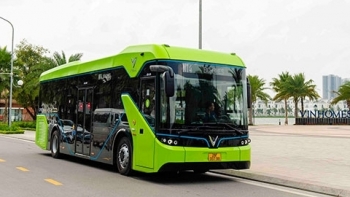Hà Nội đang triển khai thủ tục đưa 5 tuyến xe buýt điện vào phục vụ hành khách