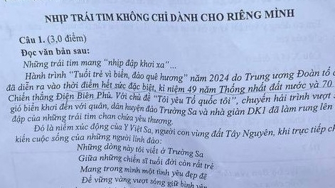 Đề thi ngữ văn kỳ thi tuyển sinh lớp 10 của TP Hồ Chí Minh siêu hay