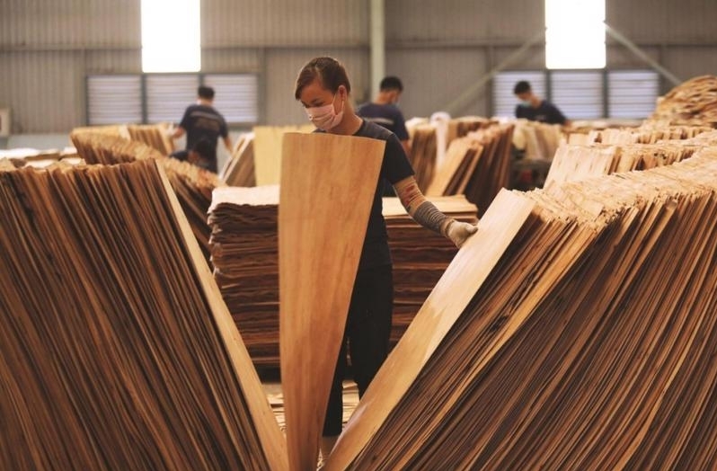 Chưa có kết luận phòng vệ thương mại tủ gỗ nhập từ Việt Nam vào thị trường Mỹ