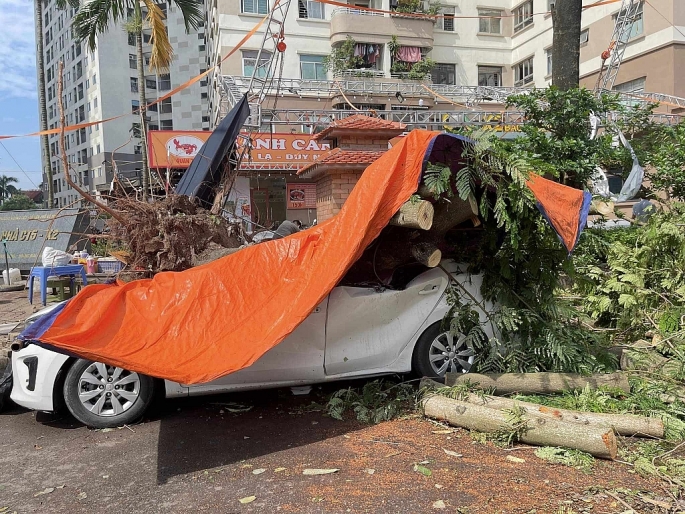 Một chiếc ô tô đỗ bên đường đối diện Chung cư CT5-X2 Khu đô thị Linh Đàm (quận Hoàng Mai) bị cây đè trúng (Ảnh: MXH)
