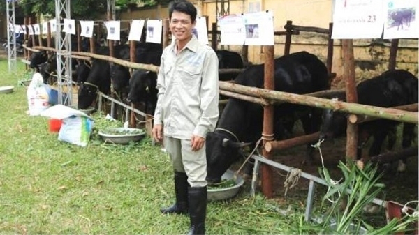 Hà Nội: tiên phong đưa giống mới vào sản xuất