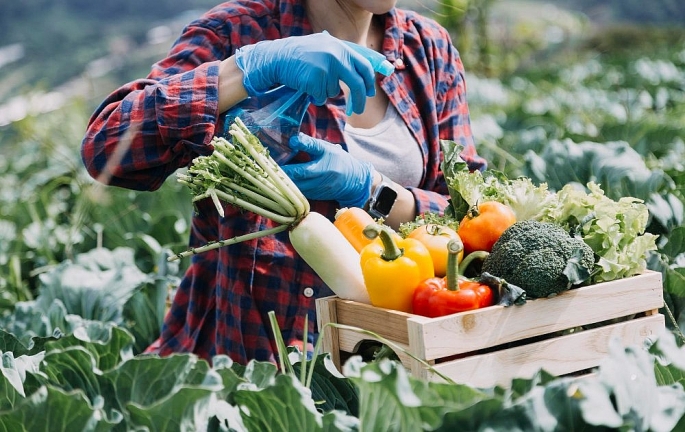 Tăng cường các biện pháp quản lý, điều hành giá để đảm bảo mục tiêu kiểm soát lạm phát