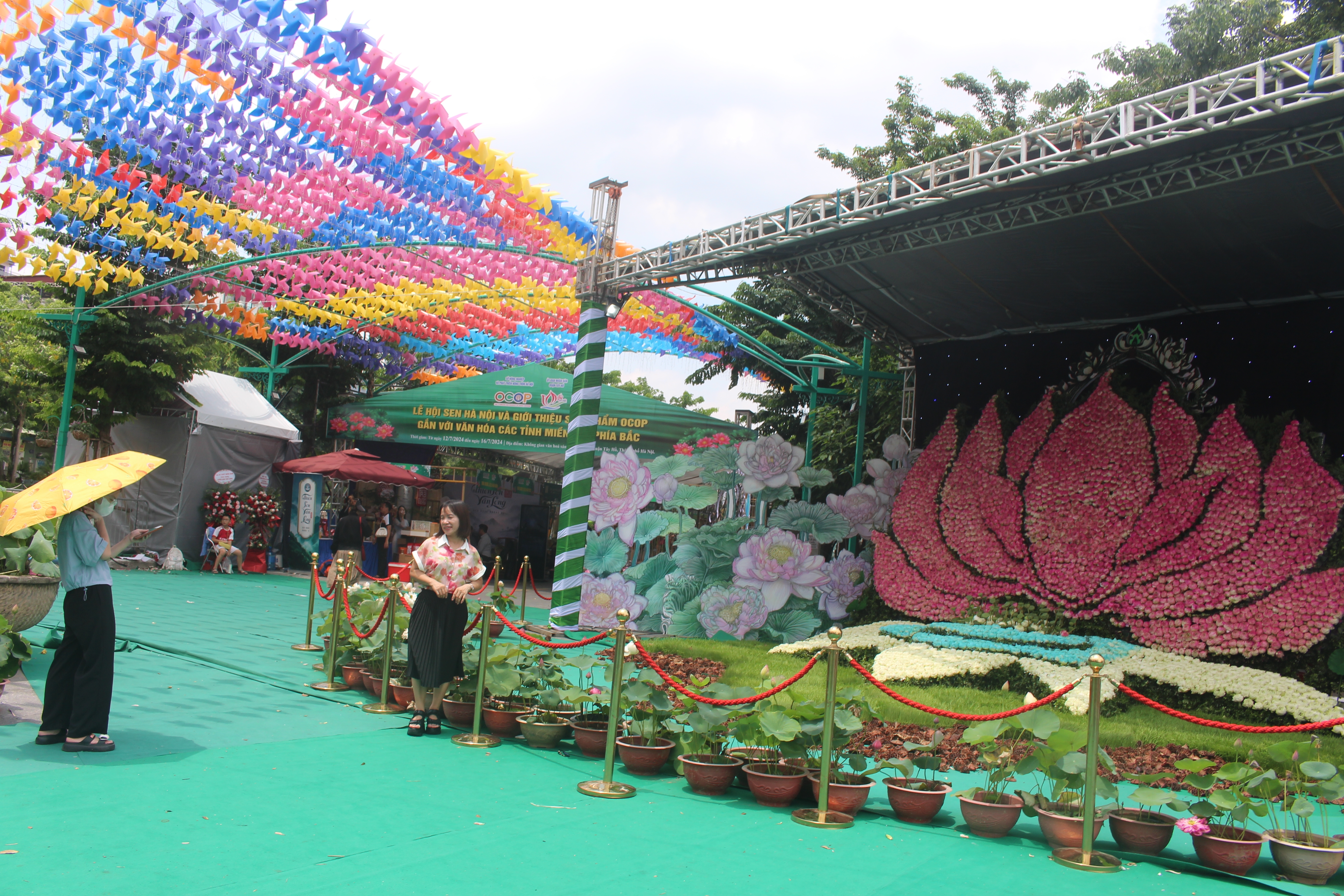 Hơn 30 loài hoa sen quý khoe sắc tại Lễ hội Sen Hà Nội 2024
