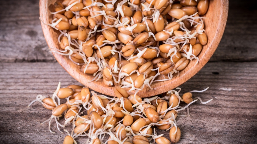 Mầm lúa mì (wheat germ) - siêu thực phẩm cho sức khỏe, bao gồm giúp giảm rụng tóc