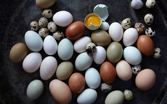 Loại trứng chưa tới 1.000 đồng, bổ dưỡng gấp 3-4 lần so với trứng gà