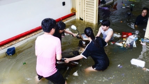 Trách nhiệm pháp lý vụ hàng loạt xe bị nước nhấn chìm trong chung cư ở Hà Nội