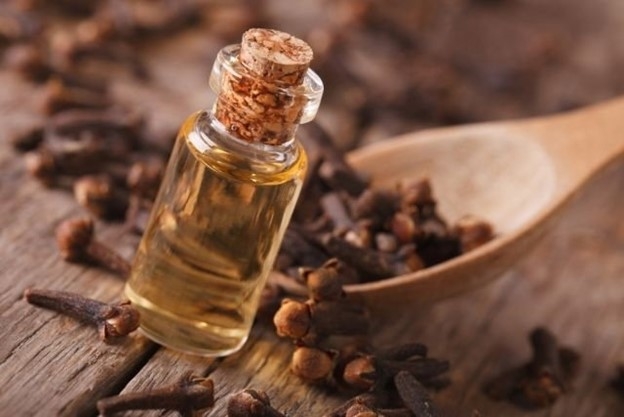 Đinh hương có thể được sử dụng dưới dạng nguyên tép, dạng bột hoặc dạng dầu, tuy nhiên cần tuân thủ liều lượng khuyến cáo.