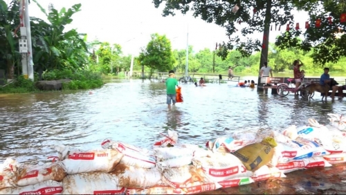 Huyện Thạch Thất: Theo dõi chặt chẽ diễn biến thời tiết, chủ động ứng phó với mưa lũ