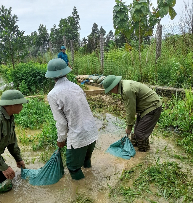 Nhân dân huyện Thạch Thất tích cực đắp đập tránh nước tràn. Ảnh: N.M.