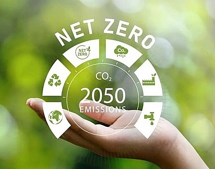 120 quốc gia và hơn 200 công ty toàn cầu cam kết thực hiện Net Zero